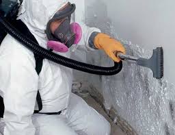 Mold Remediation for Vacation Homes in Taylorsville, NC